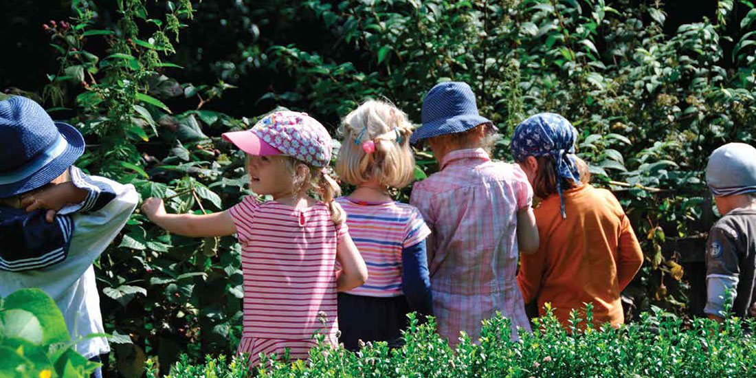 Werde Teil unseres Teams FSJ